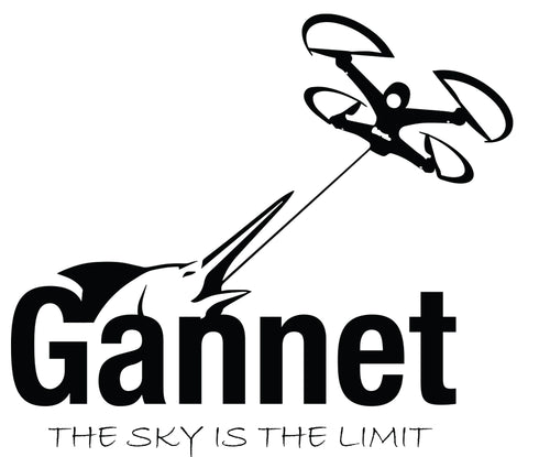Drone Fishing - Gannet