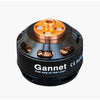 Gannet Pro Motor - Motor