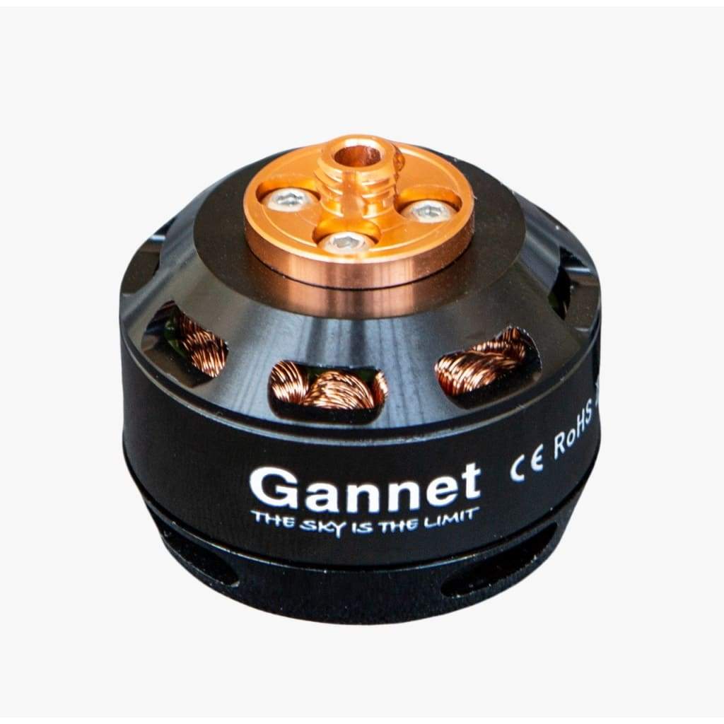 Gannet Pro Motor - Motor
